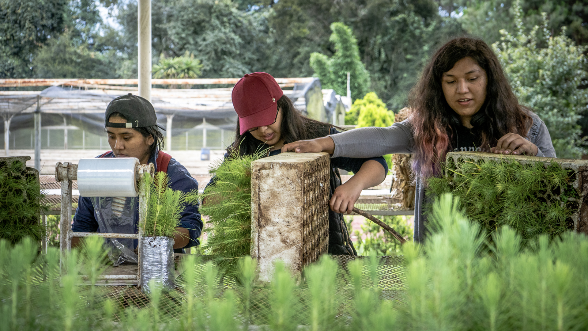 local kids planting trees butterfly reserve